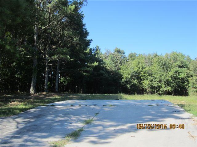 5554 County Rd 137, Cedar Bluff, AL 35959 photo 7