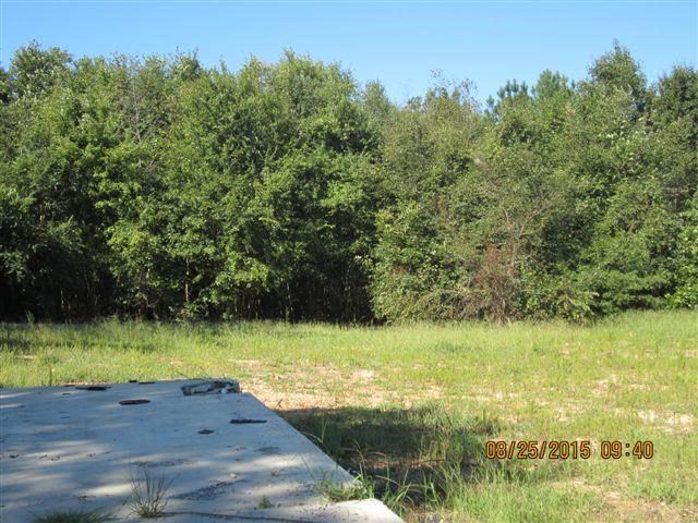 5554 County Rd 137, Cedar Bluff, AL 35959 photo 8