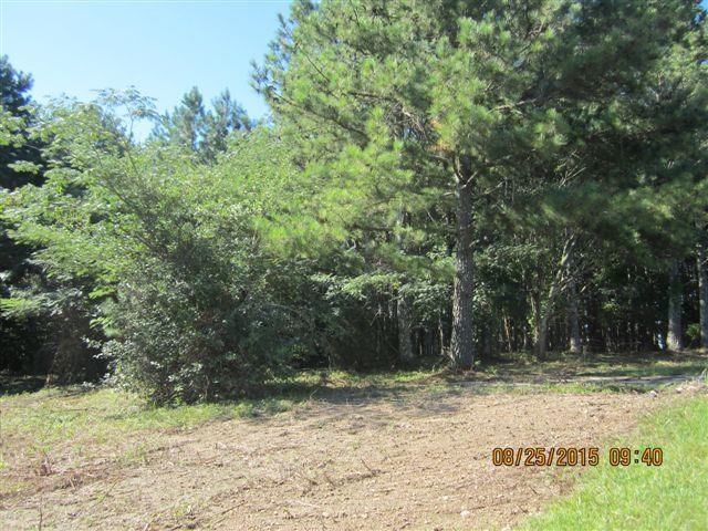 5554 County Rd 137, Cedar Bluff, AL 35959 photo 10