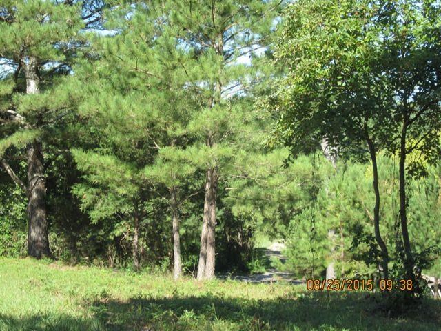 5554 County Rd 137, Cedar Bluff, AL 35959 photo 3