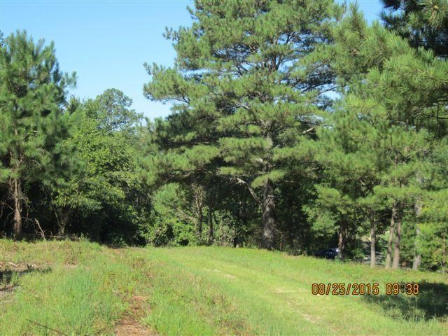 5554 County Rd 137, Cedar Bluff, AL 35959 photo 1