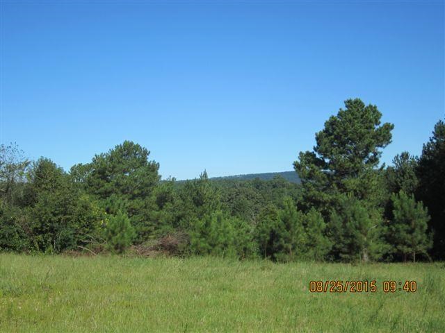 5554 County Rd 137, Cedar Bluff, AL 35959 photo 12