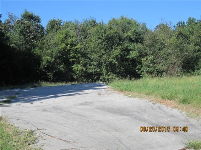 5554 County Rd 137, Cedar Bluff, AL 35959 photo 9