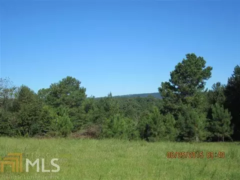 5554 County Rd 137, Cedar Bluff, AL 35959 photo 12