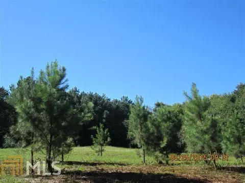 5554 County Rd 137, Cedar Bluff, AL 35959 photo 5
