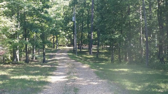 5962 Black Bluff Rd, Cave Spring, GA 30124 photo 4