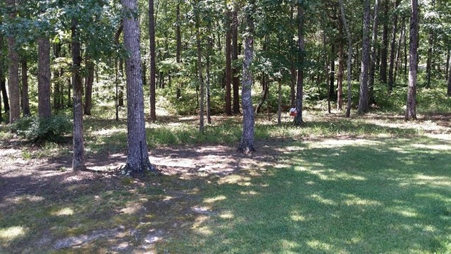 5962 Black Bluff Rd, Cave Spring, GA 30124 photo 7