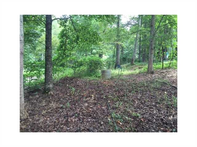 240 Fields Chapel Rd, Canton, GA 30114 photo 3