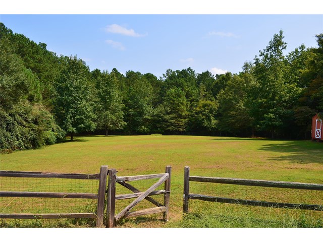 289 Ellison Rd, Tyrone, GA 30290 photo 24