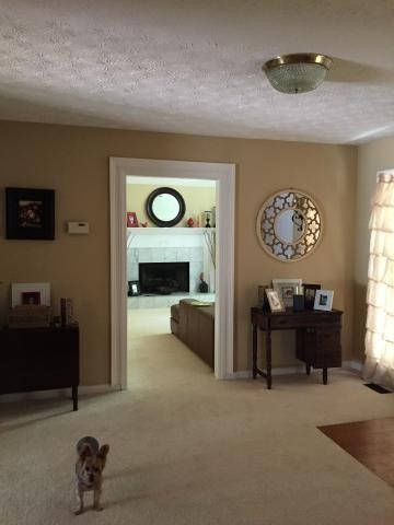 2191 Hamstead Ct, Suwanee, GA 30024 photo 6