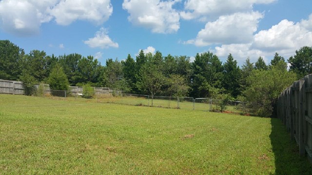 65 Fields Creek Way, Covington, GA 30016 photo 12