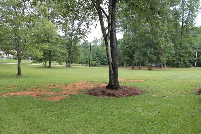 1960 Centennial Rd, Rutledge, GA 30663 photo 2