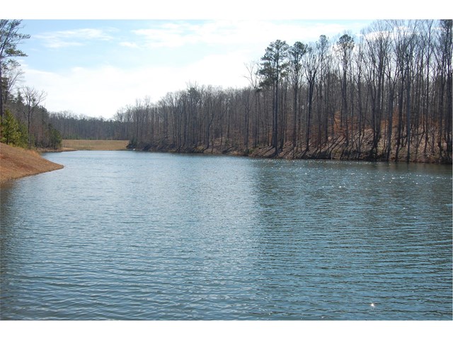 504 Alcovy Lakes Dr, Monroe, GA 30655 photo 16