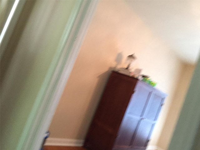 585 Chenocetah Dr, Cornelia, GA 30531 photo 13