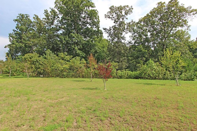 953 Sublime Trl, Canton, GA 30114 photo 24