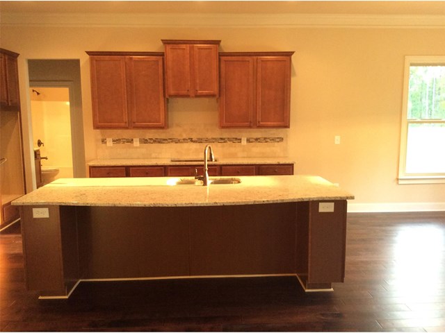 520 Heirloom Dr, Hampton, GA 30228 photo 10