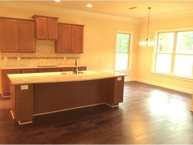 520 Heirloom Dr, Hampton, GA 30228 photo 11