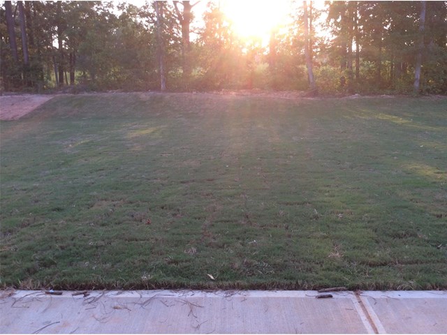 520 Heirloom Dr, Hampton, GA 30228 photo 15