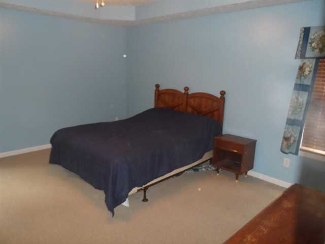 310 Split Rail Way, Canton, GA 30115 photo 10