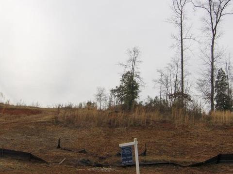 103 Forest Pointe Dr, Forsyth, GA 31029 photo 2