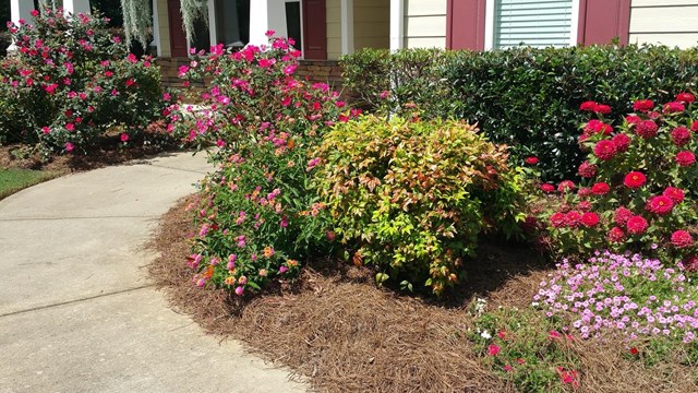1409 Averys Walk, Monroe, GA 30655 photo 3