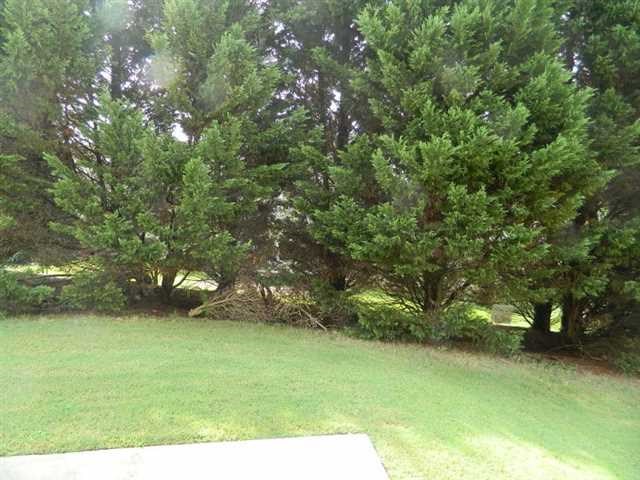 4620 Fairway View Ct, Duluth, GA 30096 photo 25