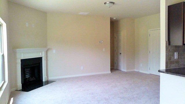 347 Pernell Dr, Hampton, GA 30228 photo 19