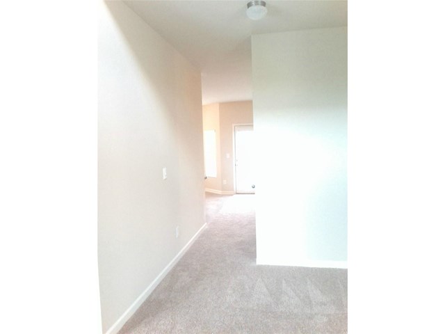347 Pernell Dr, Hampton, GA 30228 photo 16
