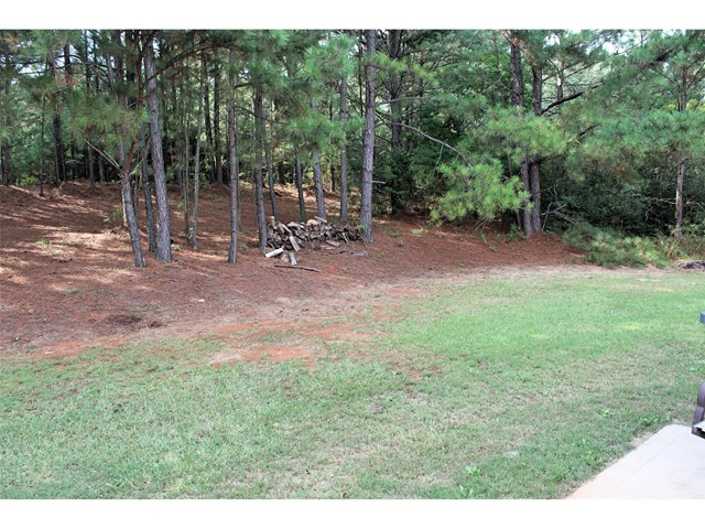 425 Tom Brown Rd, Covington, GA 30016 photo 20