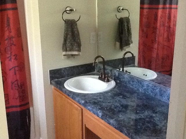 113 Robindale Ln, Temple, GA 30179 photo 12