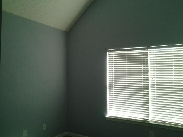 660 Tipperary Rd, Hampton, GA 30228 photo 9