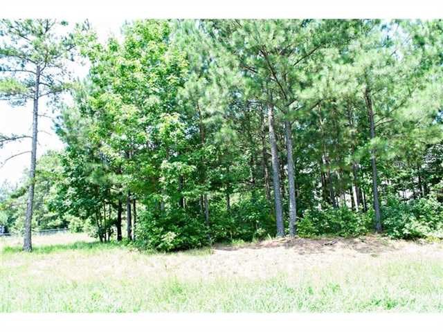 200 Meadow Spring Dr, Temple, GA 30179 photo 18