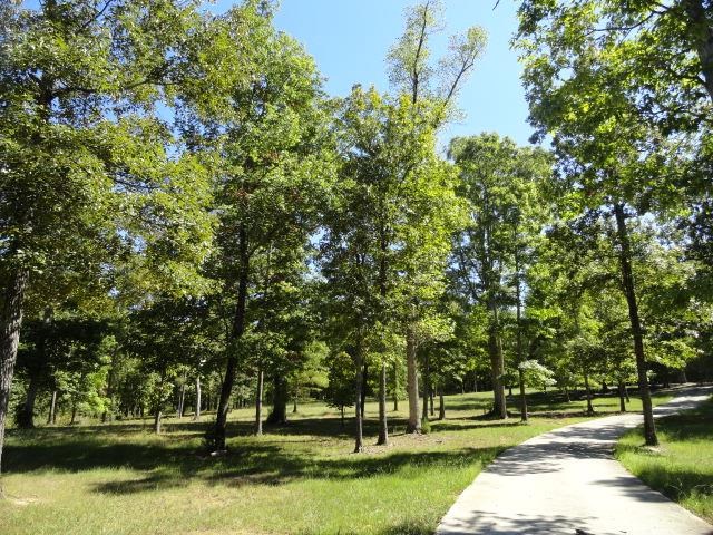 5899 Blacks Bluff Rd, Cave Spring, GA 30124 photo 2