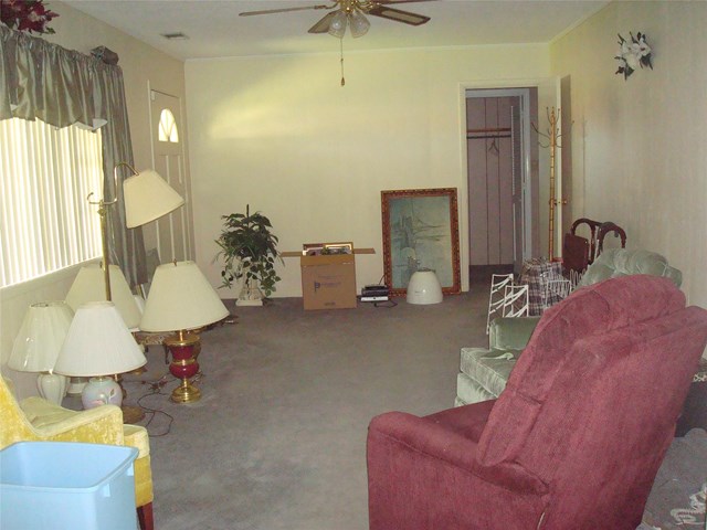203 Park Dr, Claxton, GA 30417 photo 6