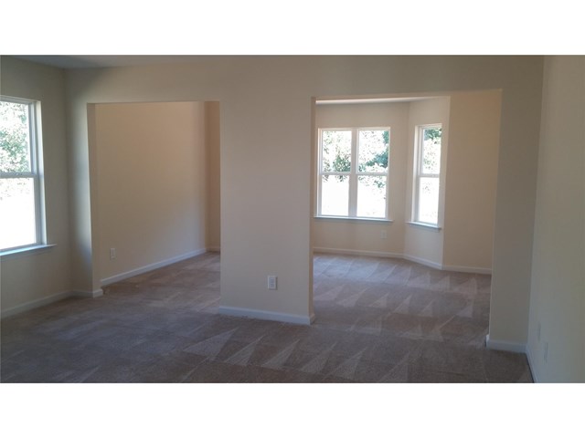 1451 Shadow Creek Ave, Hampton, GA 30228 photo 15