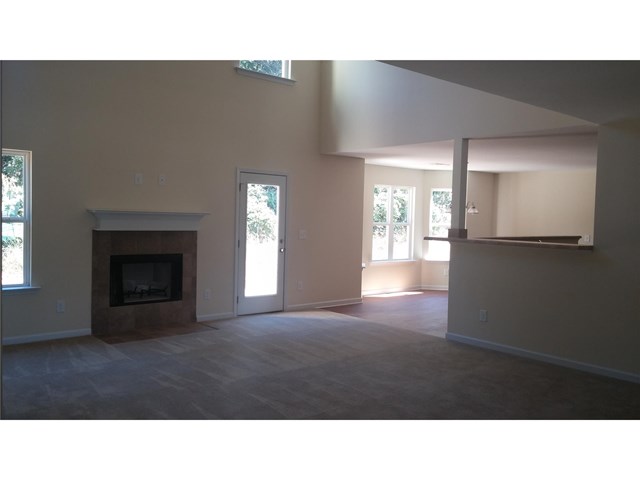 1451 Shadow Creek Ave, Hampton, GA 30228 photo 4