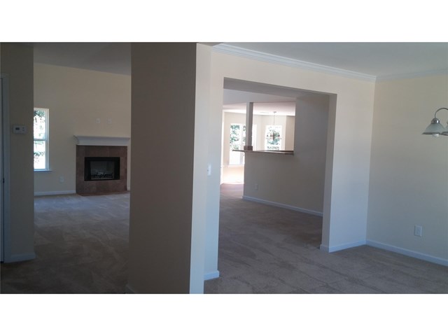 1451 Shadow Creek Ave, Hampton, GA 30228 photo 2