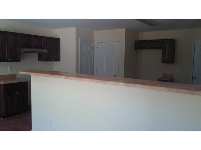 1451 Shadow Creek Ave, Hampton, GA 30228 photo 7