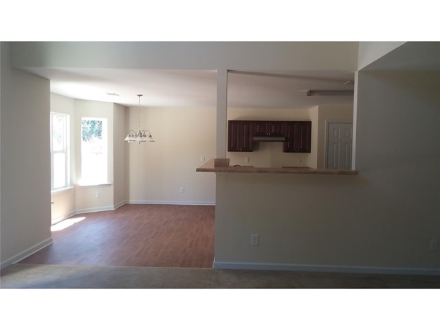 1451 Shadow Creek Ave, Hampton, GA 30228 photo 6