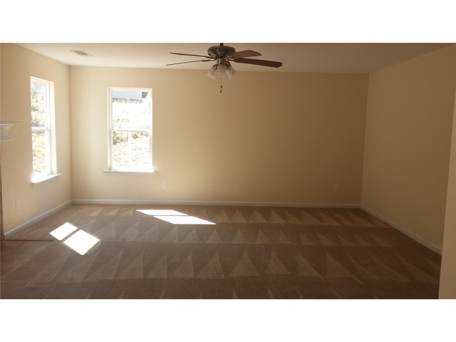 1445 Shadow Creek Ave, Hampton, GA 30228 photo 4