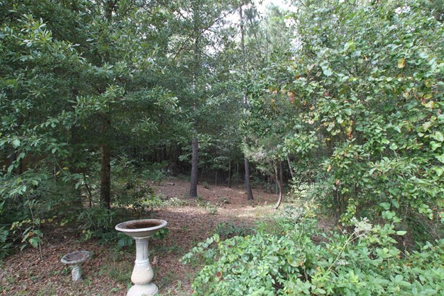 720 Mcarthur Dr, Monroe, GA 30655 photo 24
