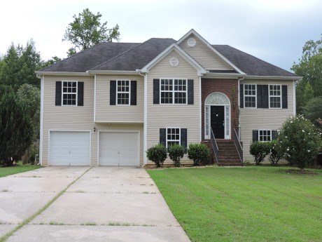 10907 Hondal Ct, Hampton, GA 30228 photo 1