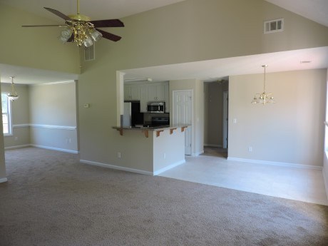 10907 Hondal Ct, Hampton, GA 30228 photo 5