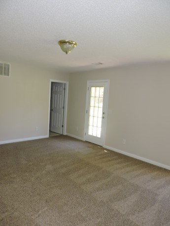 10907 Hondal Ct, Hampton, GA 30228 photo 12