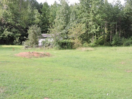 10907 Hondal Ct, Hampton, GA 30228 photo 19
