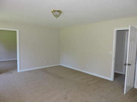 10907 Hondal Ct, Hampton, GA 30228 photo 14