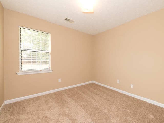 1686 Graystone Dr, Hampton, GA 30228 photo 16