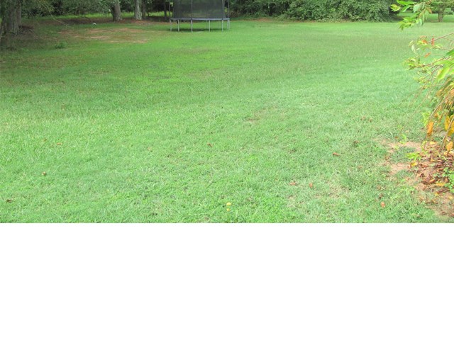 75 Anna Dr, Covington, GA 30014 photo 22