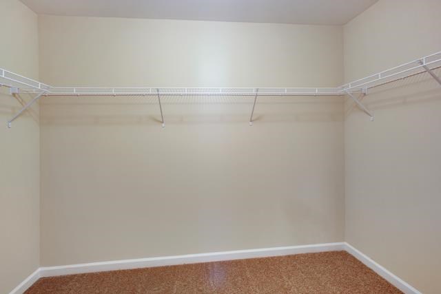 10992 Station Dr, Hampton, GA 30228 photo 18