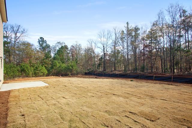 10992 Station Dr, Hampton, GA 30228 photo 25